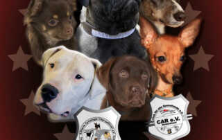 Rassehundeausstellungen Welt-Sieger-Schau & German-Champion-Cup