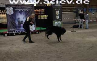 Karen Uecker überzeugt mit Dog-Dancing-Nummer