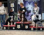 Hundeausstellung Heidelberg 2015 Sieger Hunderennen