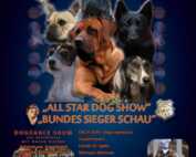 Tandem-Rassehundeausstellung in Schefflenz 01.06.2014