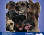 Internationale Tandem Rassehundeausstellungen 2015 || INTERKONTINENTAL & LANDES SIEGER SCHAU 04.07.2015 und Baden Württemberg & Kontinental Sieger Schau 05.07.2015 in 74081 Heilbronn.