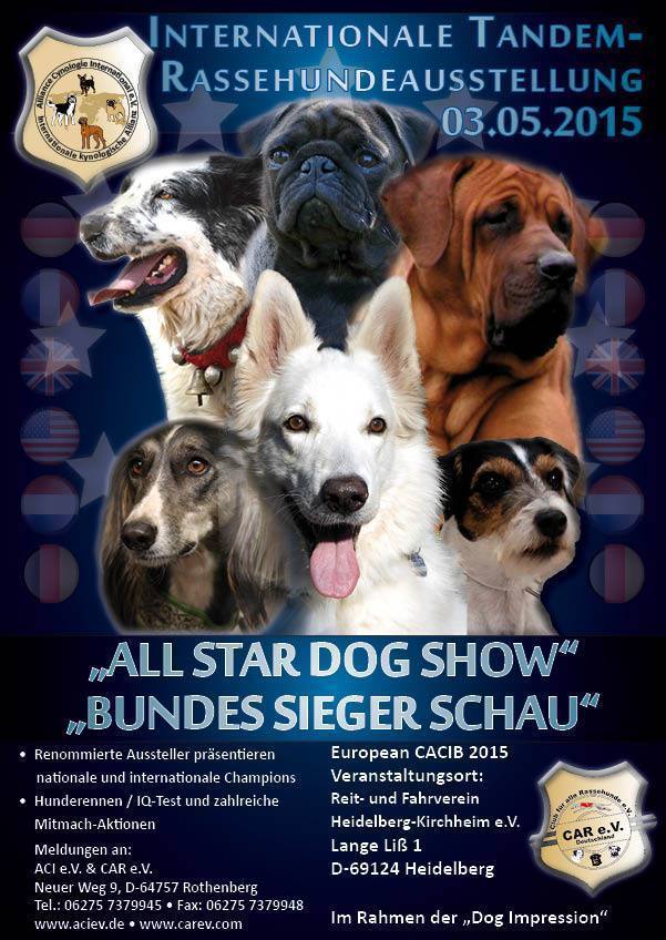 Internationale Tandem Rassehunde Ausstellung 03.05.2015 in Heidelberg