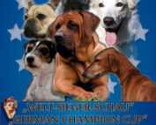 Int. Tandem-Rassehunde-Ausstellung 07.09.2014