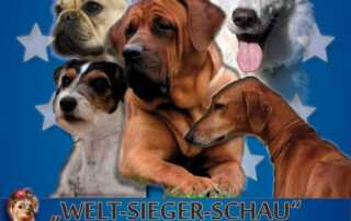 Int. Tandem-Rassehunde-Ausstellung 07.09.2014