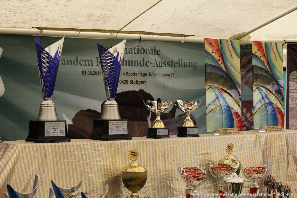 Impressionen der Tandem-Rassehundeausstellung in Heilbronn 04.07.2015