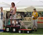 Internationale-Tandem-Rassehunde-Ausstellunge