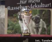 Int. CACIB Tandem-Rassehunde-Ausstellung ® 06.09.2015