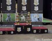 Int. CACIB Tandem-Rassehunde-Ausstellung ® 06.09.2015