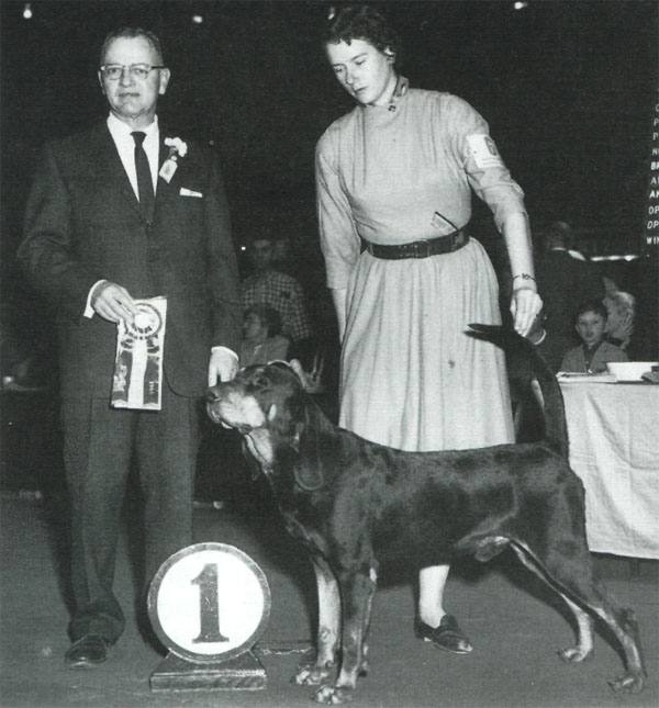 Coonhound Best in Show 1960