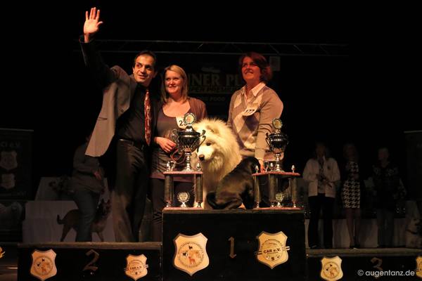 Rassehundeausstellungen All Star Dog Show & Bundessiegerschau