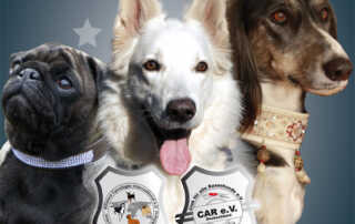 Welt Sieger Schau & German Champion Cup in Schefflenz