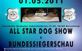 Rassehundeausstellungen All Star Dog Show & Bundessiegerschau