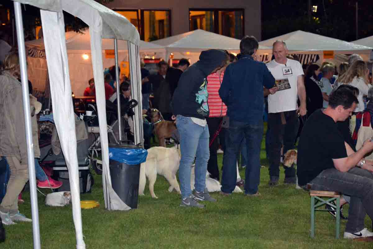 Deutschlands erste Hunde Flutlicht Ausstellung.