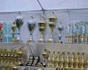 Deutschlands erste Hunde Flutlicht Ausstellung.