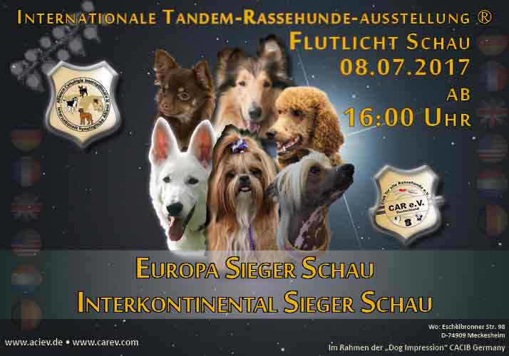 Internationale Tandem-Rassehunde-Ausstellung Flutlicht Schau 08.07.2017