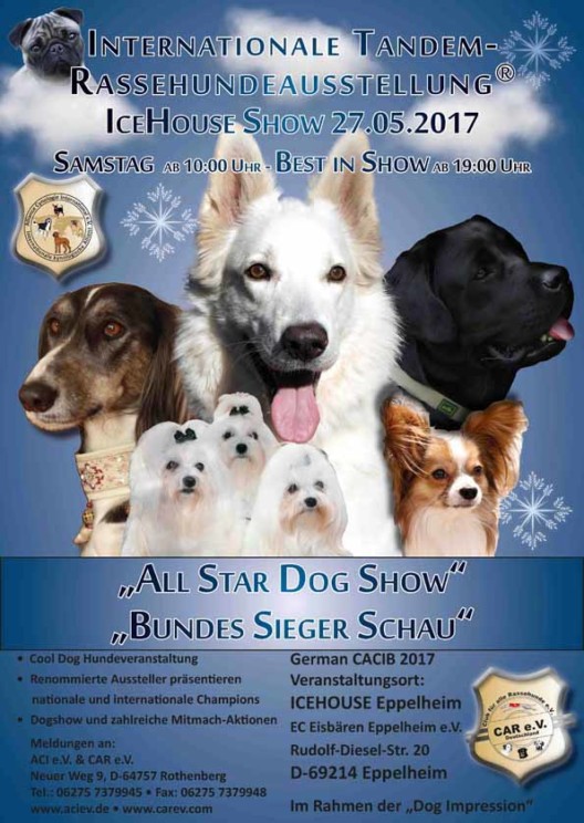 ALL STAR DOG SHOW - BUNDES SIEGER SCHAU 2017