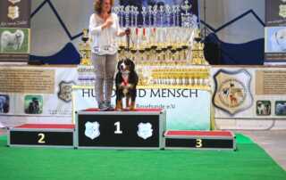 All Star Dog Show - Bundessiegerschau 2017