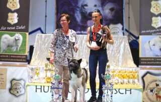 Best in Show All Star Dog Show 2017