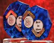 Impressionen der Tandem-Rassehundeausstellung Welt-Sieger-Schau & German-Champion-Cup in Schefflenz 02.09.2012