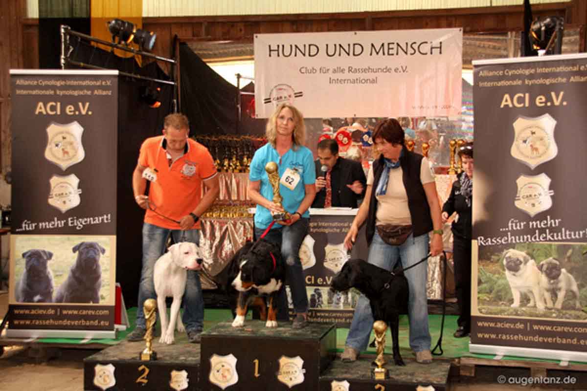 Rassehundeausstellungen Welt Sieger und German Champion Cup in Schefflenz 02.09.2012
