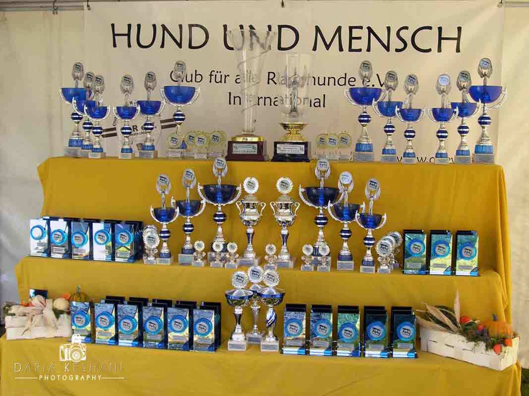 Rassehunde Ausstellung Interkontinental Sieger Schau 2012 Heilbronn