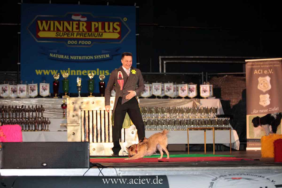 Sieger und Impressionen Int. Tandem Rassehunde Ausstellung 05.05.2013 All Star Dog Show und Bundessiegerschau in Geiselwind