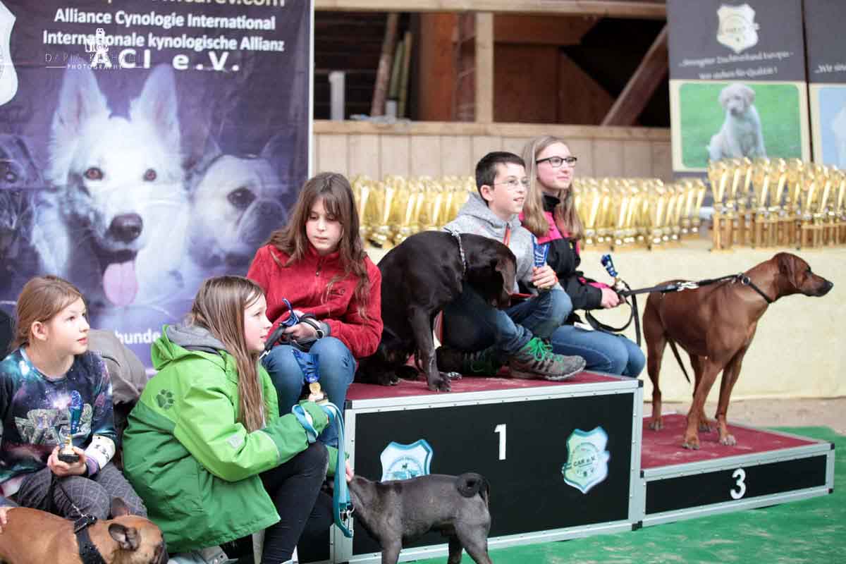 Impressionen der Tandem-Rassehundeausstellung All Star Dog Schau und Bundessiegerschau in Heidelberg 01.05.2016