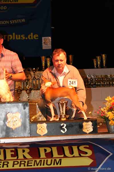 Sieger und Impressionen Int. Tandem Rassehunde Ausstellung 13.05.2012 All Star Dog Show und Bundessiegerschau in Geiselwind