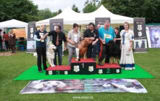 Interkontinental Sieger Schau und Landessiegerschau 12.07.2014