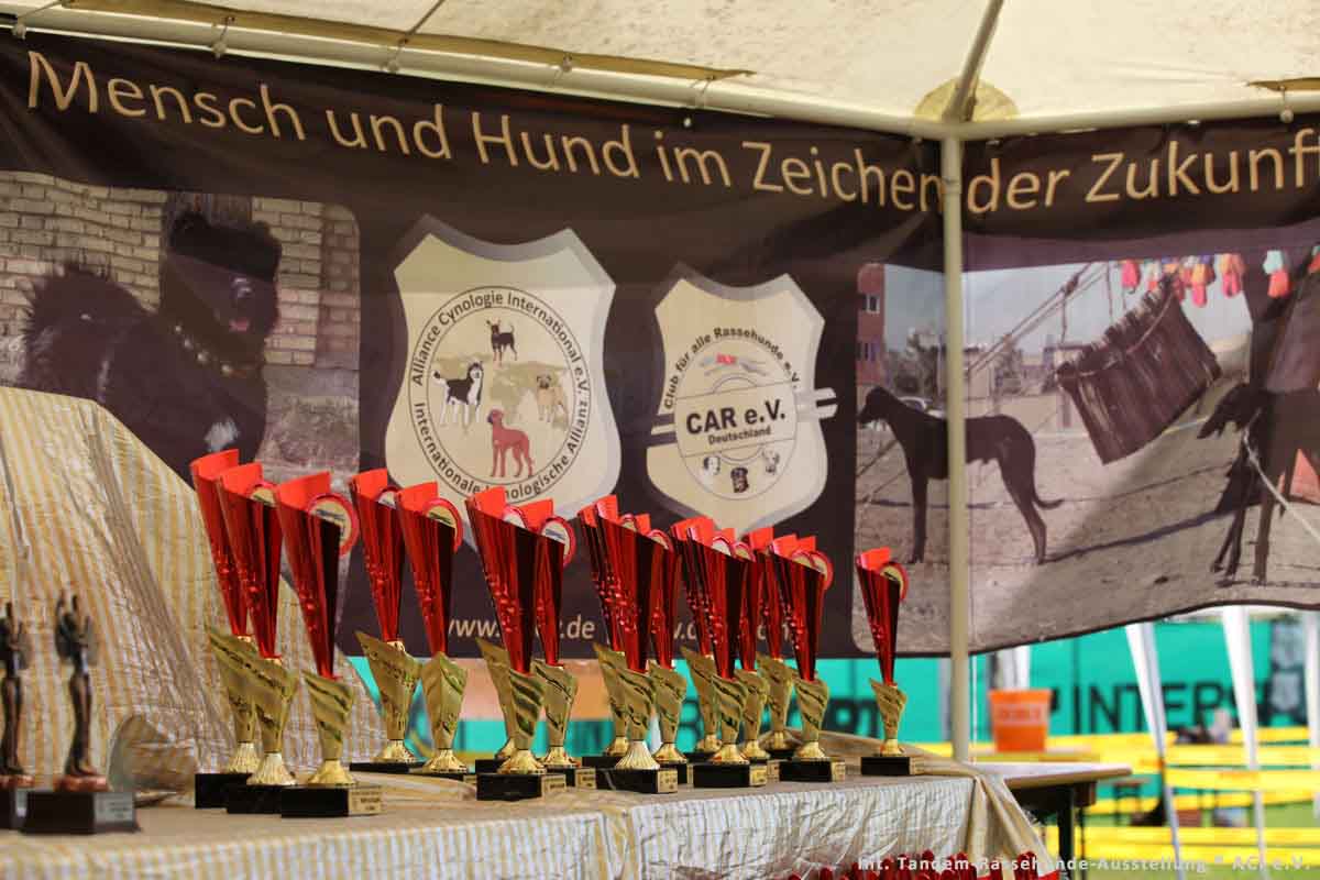 Impressionen der Tandem-Rassehundeausstellung in Heilbronn 04.-.5.07.2015