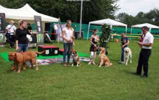 Internationale-Tandem-Rassehunde-Ausstellungen 13.07.2014