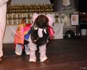 Impressionen Int. Tandem Rassehunde Ausstellung 13.05.2012 All Star Dog Show und Bundessiegerschau in Geiselwind