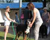 Interkontinental Sieger Schau & Europa Sieger Schau 2017 Meckesheim