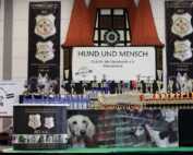 Internationale Tandem Rassehunde Ausstellung Welt-Sieger und German-Champion Cup Michelstadt Odenwald