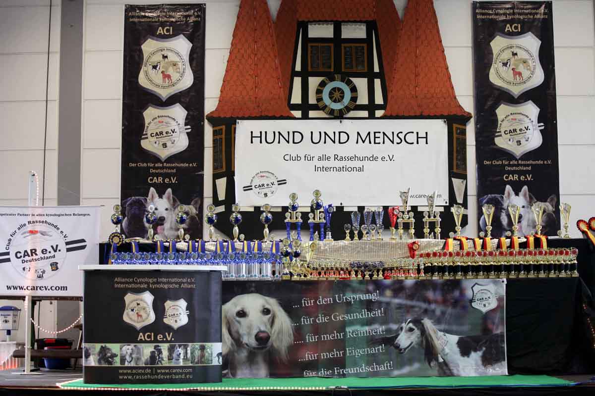 Internationale Tandem Rassehunde Ausstellung Welt-Sieger und German-Champion Cup Michelstadt Odenwald