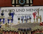 Der kynologische Freundeskreis rund um den ACI e.V. und CAR e.V. lud unter der Leitung von Alireza Keshani am 03.09.2017 zur internationalen Tandem-Rassehunde-Ausstellung® in Michelstadt im Odenwald ein.