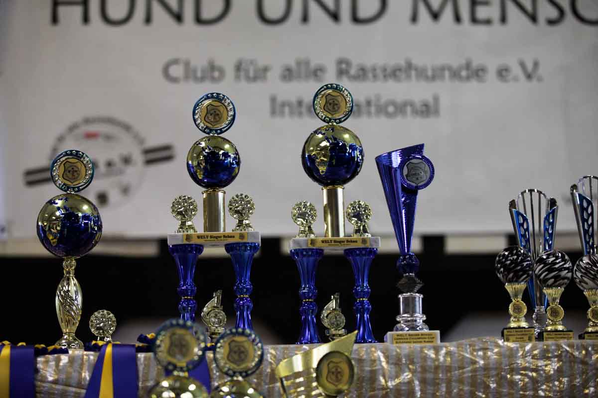 Internationale Tandem Rassehunde Ausstellung Welt-Sieger und German-Champion Cup Michelstadt Odenwald