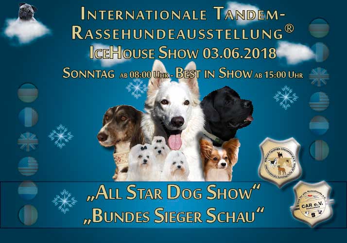 Internationale Tandem-Rassehunde-Ausstellung in Eppelheim-Heidelberg