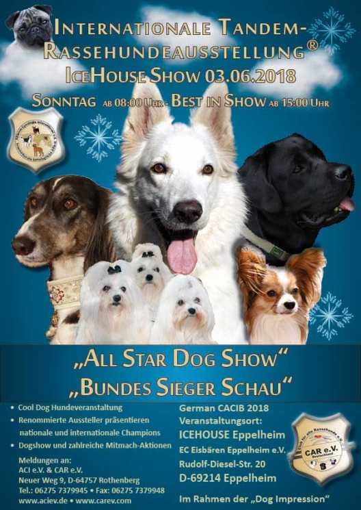 „All Star Dog Show“ und der „Bundessiegerschau 2018“