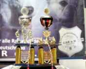 Tandem Rassehunde Ausstellung All Star Dog Show und Bundessiegerschau 03.06.2018