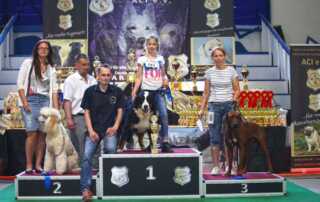 Tandem Rassehunde Ausstellung All Star Dog Show und Bundessiegerschau 03.06.2018