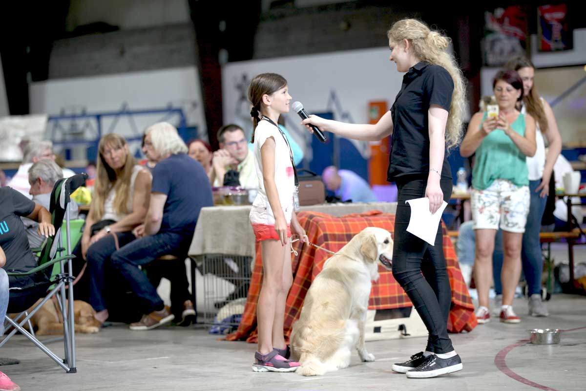Tandem Rassehunde Ausstellung All Star Dog Show und Bundessiegerschau 03.06.2018