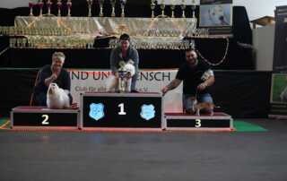 Welt Sieger Schau und German Champion Cup 09.09.2018