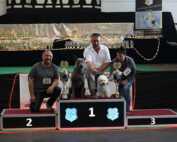 Welt Sieger Schau und German Champion Cup 09.09.2018