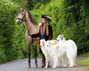 Dream Team. Pferde-Menschen-Barsoi-Dialog- mit erlaubnis v. Alexander Menich