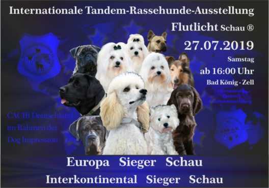 Internationale Tandem-Rassehunde-Ausstellung 27.07.2019