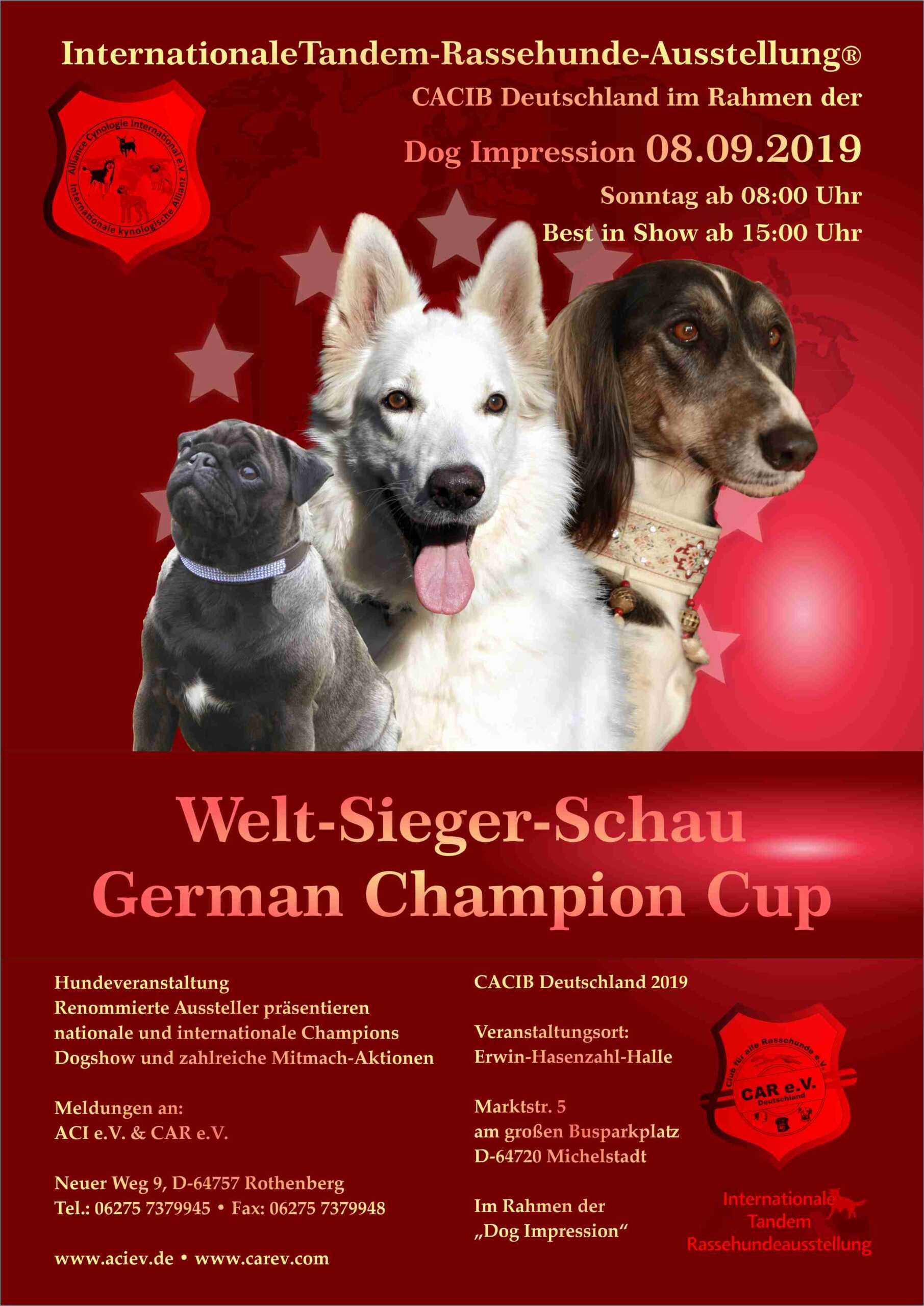 Welt-Sieger-Schau German Champion Cup 08.09.2019