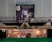 Internationale Tandem-Rassehunde-Ausstellung Deutschland-Sieger-Schau & World Cup Show 05.05.2019