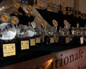 Internationale Tandem-Rassehunde-Ausstellung Deutschland-Sieger-Schau & World Cup Show 05.05.2019