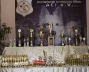 Schöne Sieger Pokale für die Gewinner der Tandem-Rassehunde-Ausstellung® in Ludwigshafen